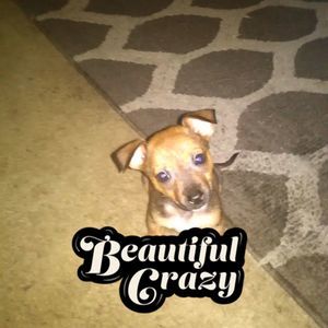 Meet your Posher, Jeremy